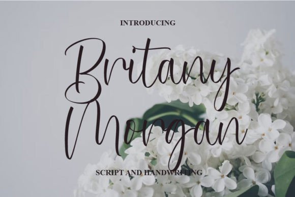 Britany Morgan Font Review for Elegant Web Design