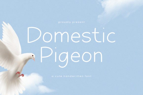 Domestic Pigeon: A Designer’s Practical Review