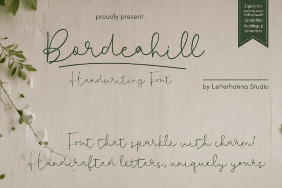 Elevating Brand Identity with Bordeahill: A Designer’s Real-World Script Font Story