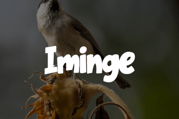 Iminge Font: Adding Soul to Brand Identity Design