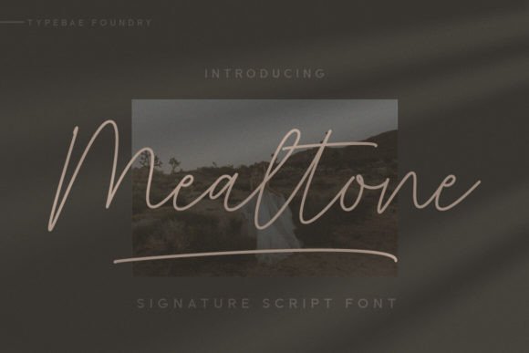 Mealtone Font: Elevating Editorial Design
