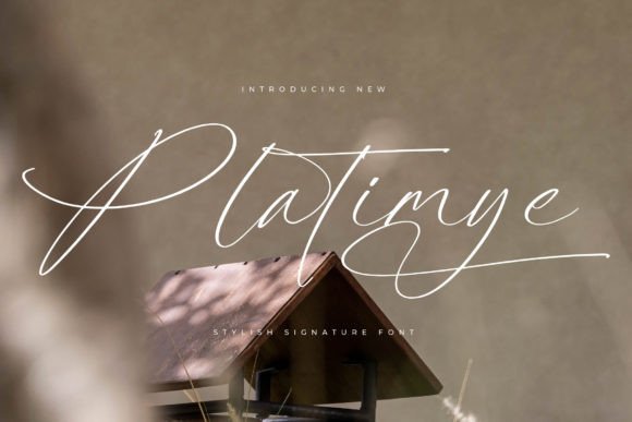 Platimye: A Stylish Script Font That Elevates Brand Identity